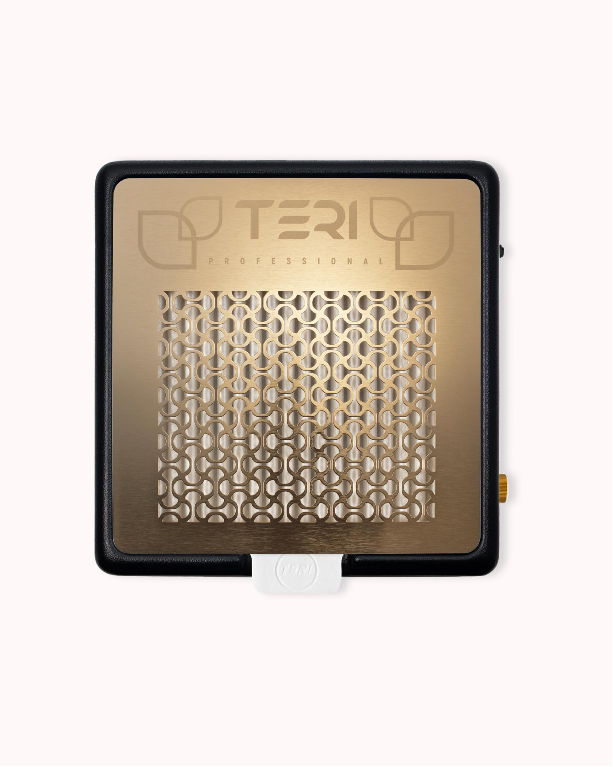 Teri Dust Collector Black & Gold
