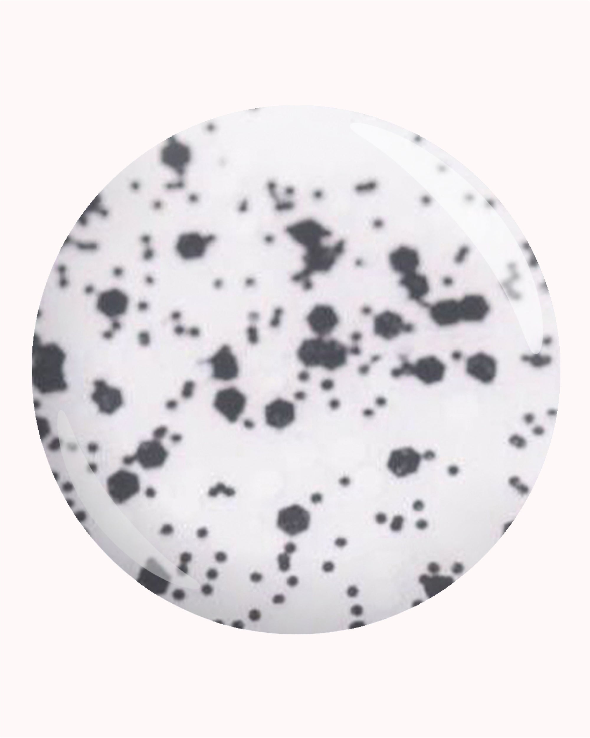 Confetti Black & White Topcoat