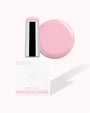 NN Gel – Lucca